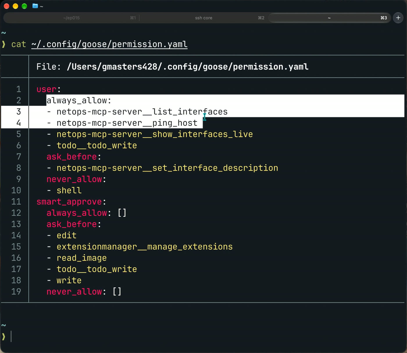 The permission.yaml file in the terminal with the user rules for the read tools, the write tool, and shell